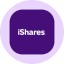 iShares MSCI Brazil Tokenized ETF (Ondo) icon